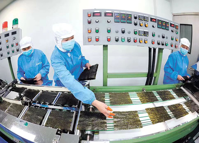 1至4月同比增九成！數字化轉型賦能連云港外貿進出口“新”意滿滿